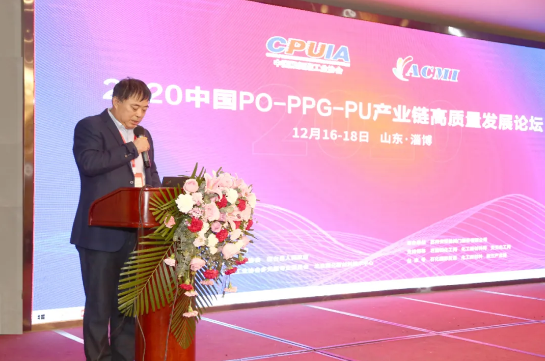 山東藍星東大有限公司總工程師、總經(jīng)理助理郭輝